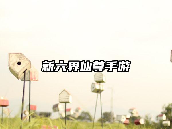 新六界仙尊手游