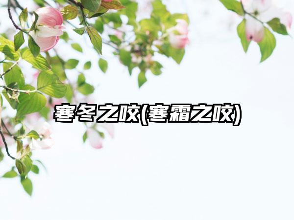 寒冬之咬(寒霜之咬)