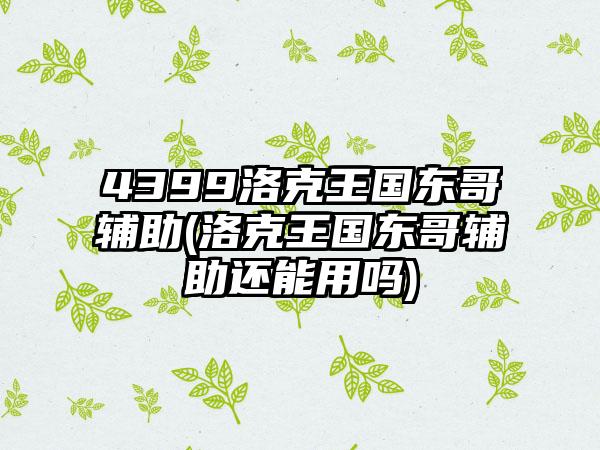 4399洛克王国东哥辅助(洛克王国东哥辅助还能用吗)