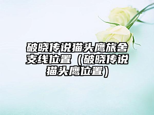 破晓传说猫头鹰旅舍支线位置（破晓传说猫头鹰位置）