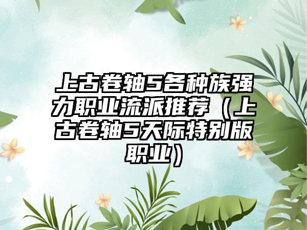 上古卷轴5各种族强力职业流派推荐（上古卷轴5天际特别版职业）