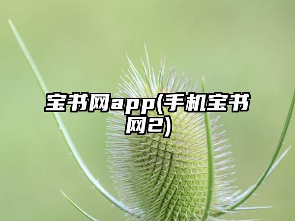 宝书网app(手机宝书网2)