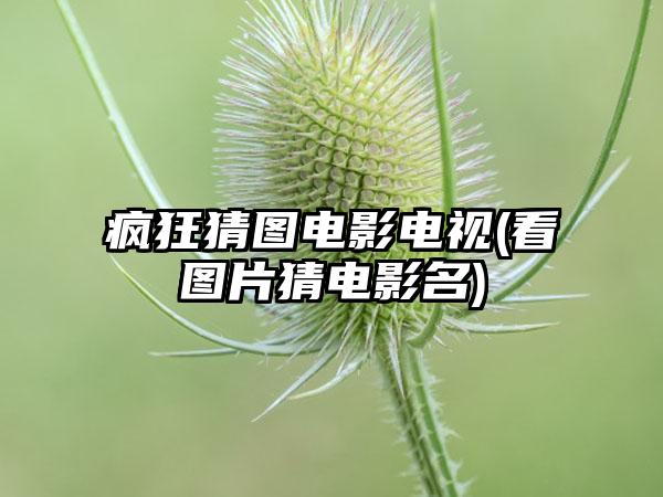 疯狂猜图电影电视(看图片猜电影名)