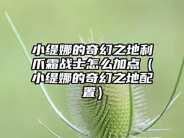 小缇娜的奇幻之地利爪霜战士怎么加点（小缇娜的奇幻之地配置）