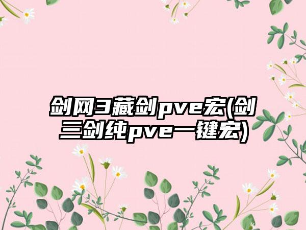 剑网3藏剑pve宏(剑三剑纯pve一键宏)