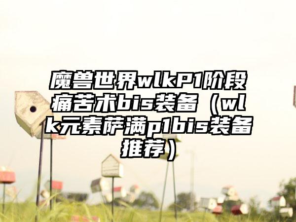 魔兽世界wlkP1阶段痛苦术bis装备（wlk元素萨满p1bis装备推荐）