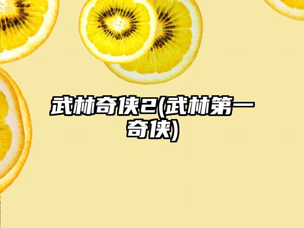 武林奇侠2(武林第一奇侠)