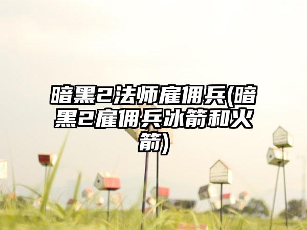 暗黑2法师雇佣兵(暗黑2雇佣兵冰箭和火箭)