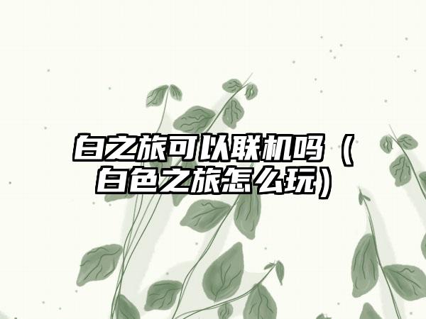 白之旅可以联机吗（白色之旅怎么玩）