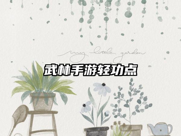 武林手游轻功点