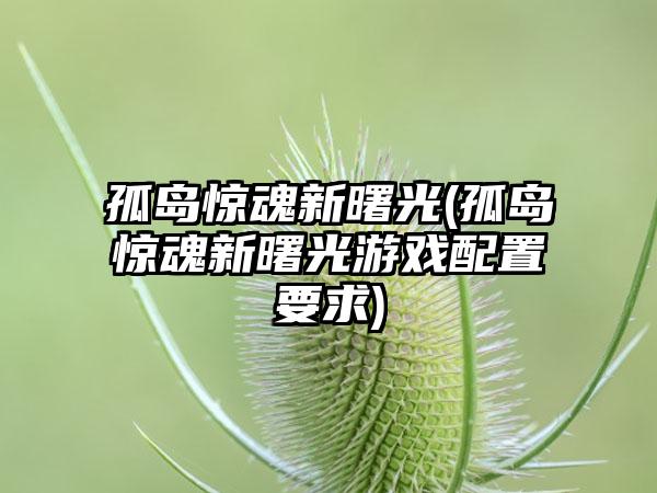 孤岛惊魂新曙光(孤岛惊魂新曙光游戏配置要求)