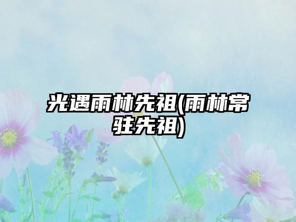 光遇雨林先祖(雨林常驻先祖)