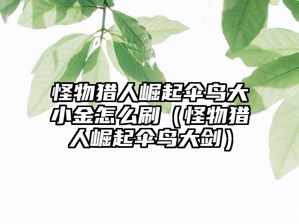 怪物猎人崛起伞鸟大小金怎么刷（怪物猎人崛起伞鸟大剑）