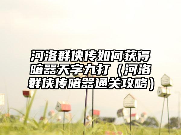 河洛群侠传如何获得暗器天字九打（河洛群侠传暗器通关攻略）