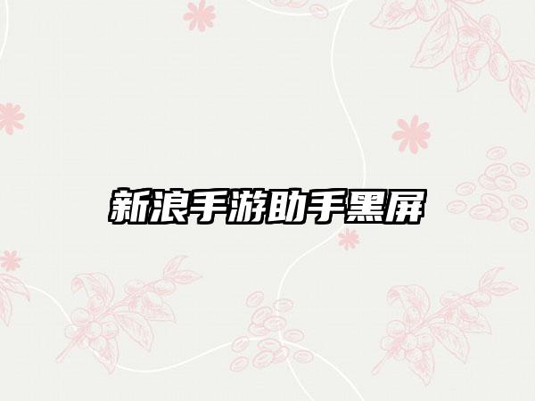 新浪手游助手黑屏