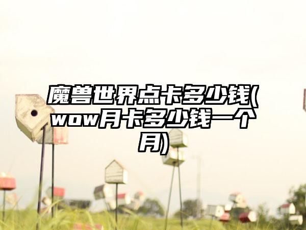 魔兽世界点卡多少钱(wow月卡多少钱一个月)