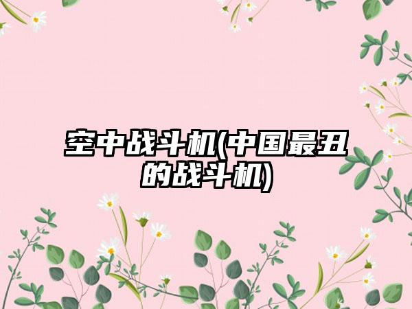 空中战斗机(中国最丑的战斗机)