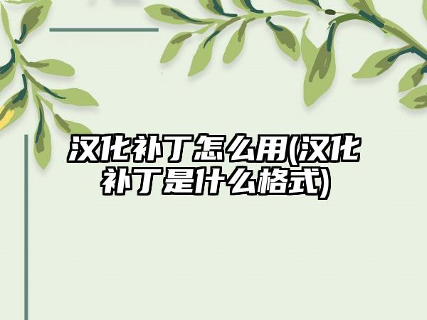 汉化补丁怎么用(汉化补丁是什么格式)