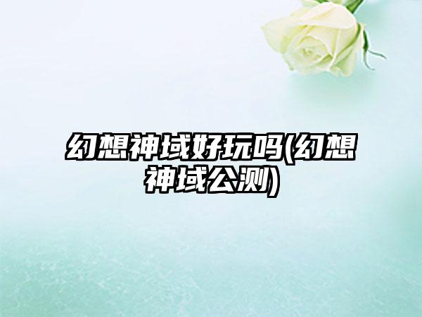 幻想神域好玩吗(幻想神域公测)