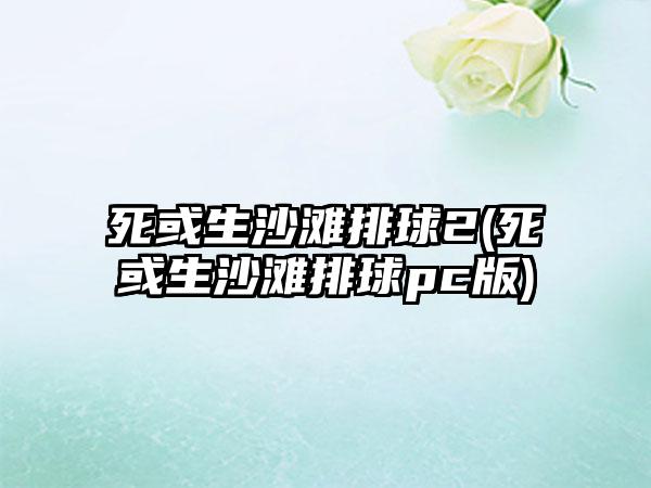 死或生沙滩排球2(死或生沙滩排球pc版)