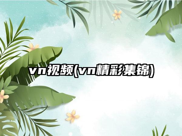vn视频(vn精彩集锦)