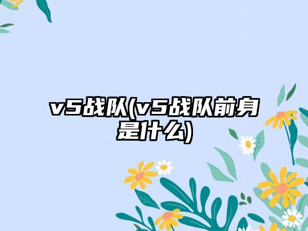 v5战队(v5战队前身是什么)