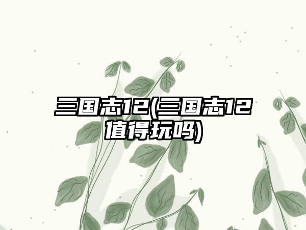 三国志12(三国志12值得玩吗)