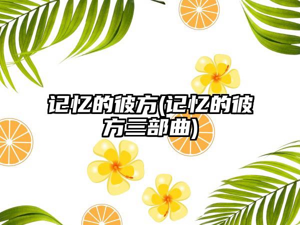 记忆的彼方(记忆的彼方三部曲)