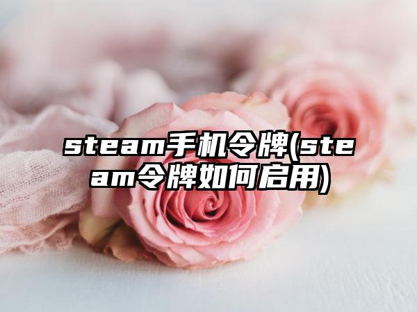 steam手机令牌(steam令牌如何启用)