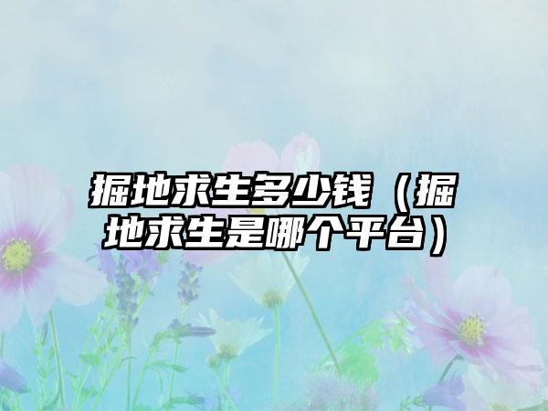 掘地求生多少钱（掘地求生是哪个平台）