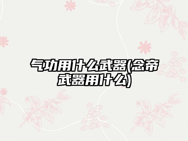 气功用什么武器(念帝武器用什么)