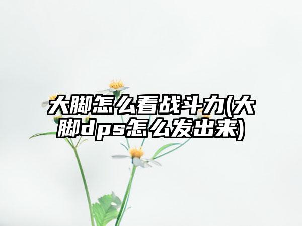 大脚怎么看战斗力(大脚dps怎么发出来)