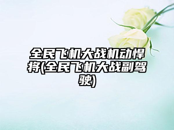 全民飞机大战机动悍将(全民飞机大战副驾驶)