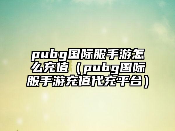 pubg国际服手游怎么充值（pubg国际服手游充值代充平台）