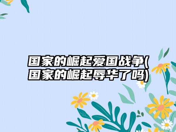 国家的崛起爱国战争(国家的崛起辱华了吗)