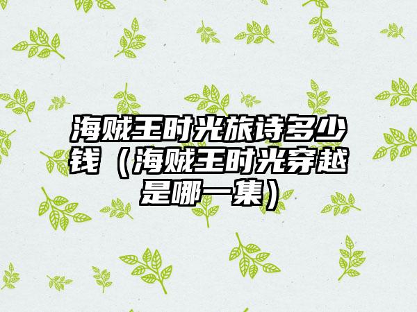 海贼王时光旅诗多少钱（海贼王时光穿越是哪一集）