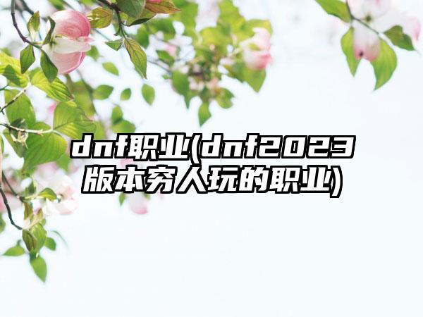 dnf职业(dnf2023版本穷人玩的职业)
