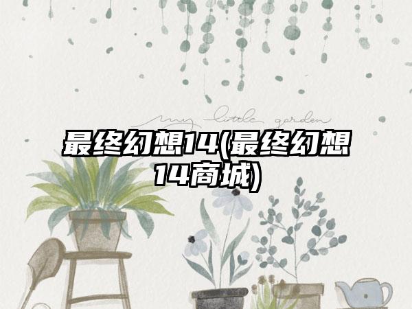 最终幻想14(最终幻想14商城)