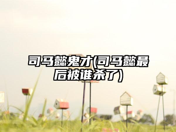 司马懿鬼才(司马懿最后被谁杀了)