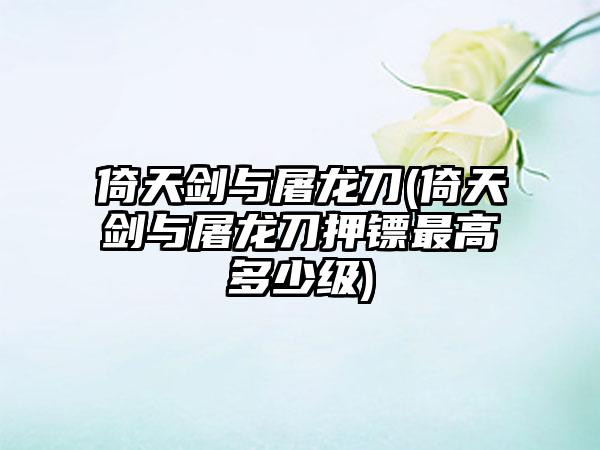 倚天剑与屠龙刀(倚天剑与屠龙刀押镖最高多少级)