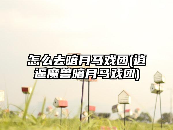 怎么去暗月马戏团(逍遥魔兽暗月马戏团)