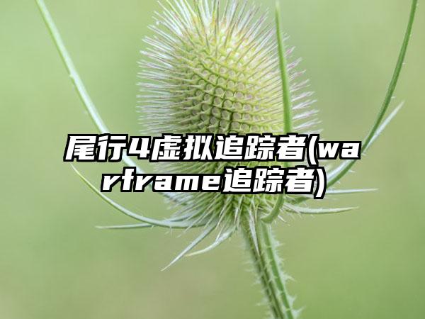 尾行4虚拟追踪者(warframe追踪者)