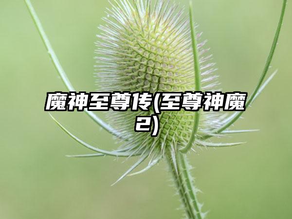 魔神至尊传(至尊神魔2)