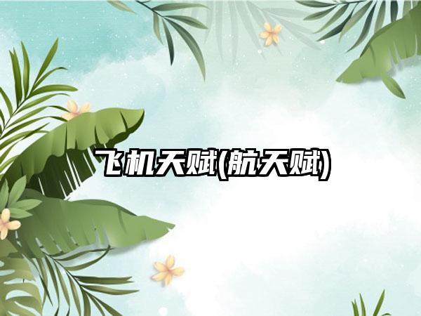 飞机天赋(航天赋)