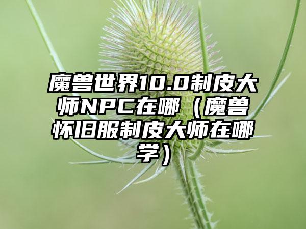 魔兽世界10.0制皮大师NPC在哪（魔兽怀旧服制皮大师在哪学）