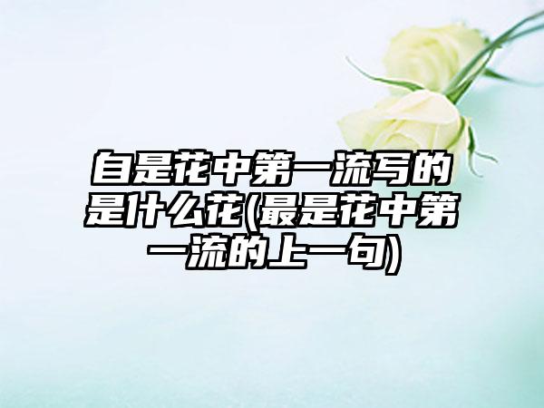 自是花中第一流写的是什么花(最是花中第一流的上一句)