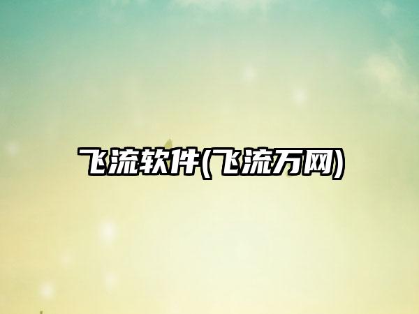 飞流软件(飞流万网)
