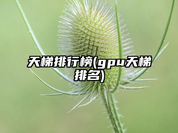 天梯排行榜(gpu天梯排名)