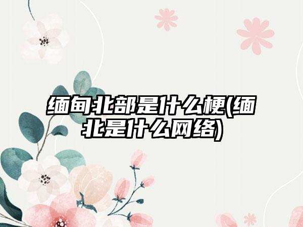 缅甸北部是什么梗(缅北是什么网络)