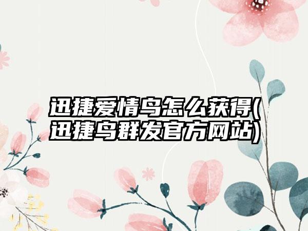 迅捷爱情鸟怎么获得(迅捷鸟群发官方网站)